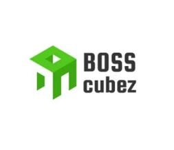 BOSS Cubez Boss Housing Innovation Collaborative